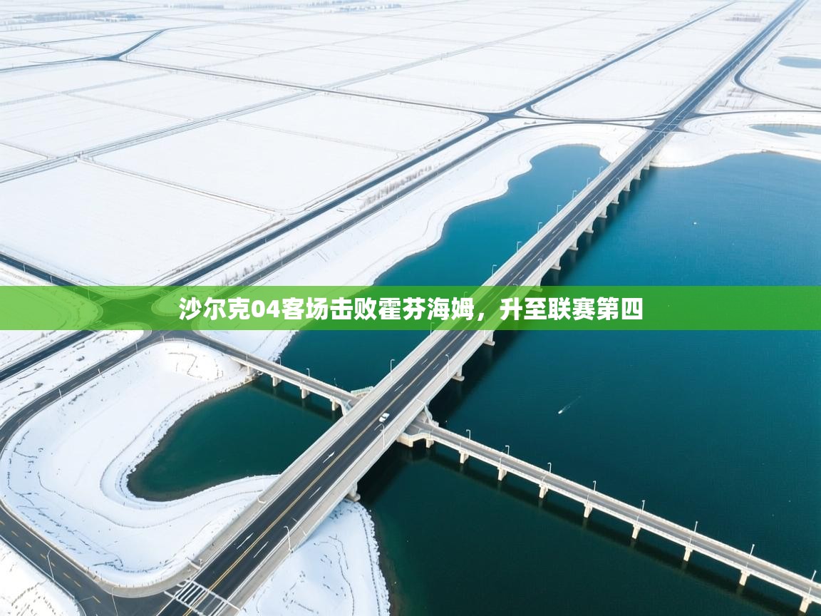 沙尔克04客场击败霍芬海姆，升至联赛第四  第1张