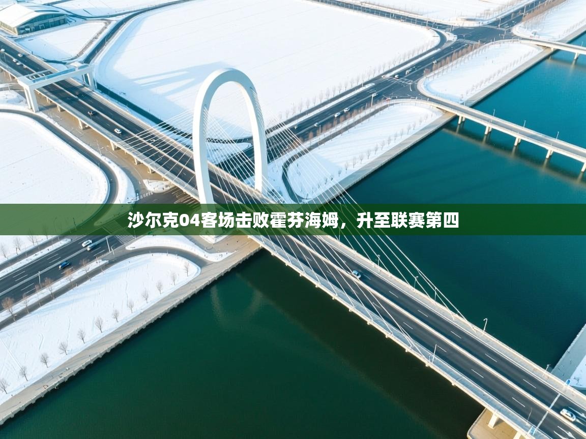 沙尔克04客场击败霍芬海姆，升至联赛第四  第2张