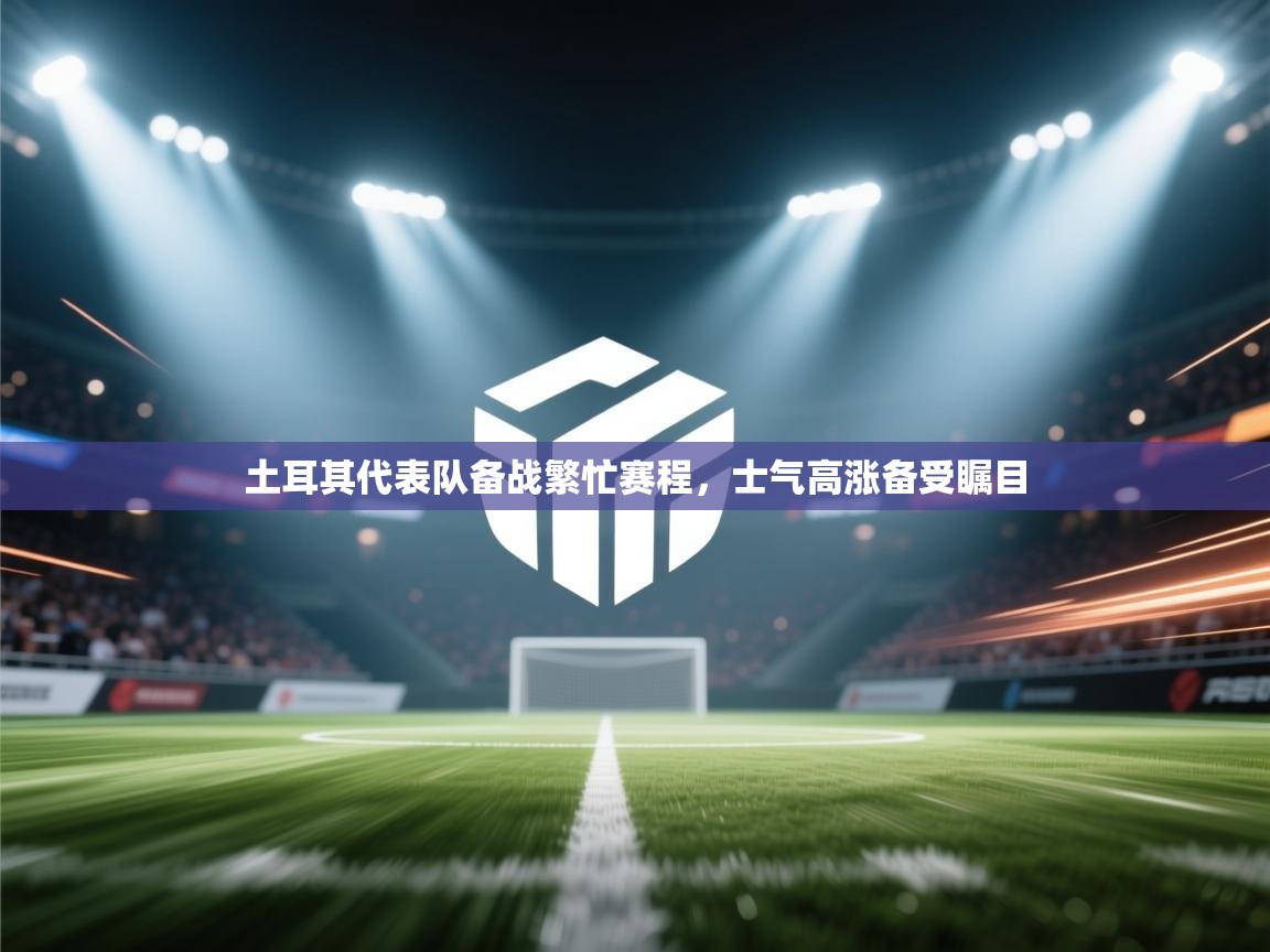 土耳其代表队备战繁忙赛程,士气高涨备受瞩目 第2张